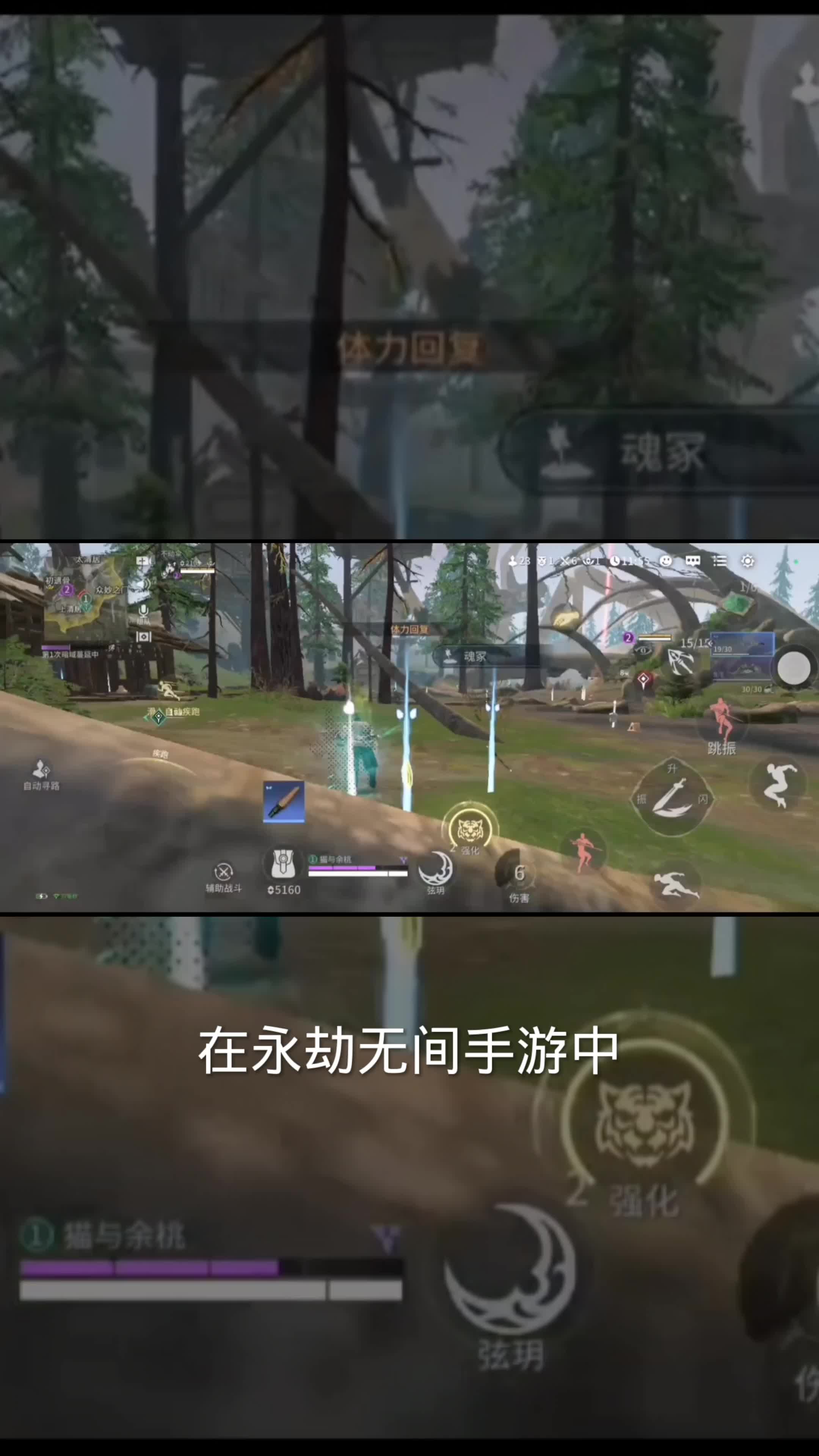 格斗技巧:掌握專業技能組成: